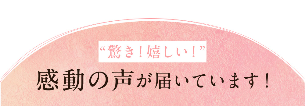 感動の声が届いています